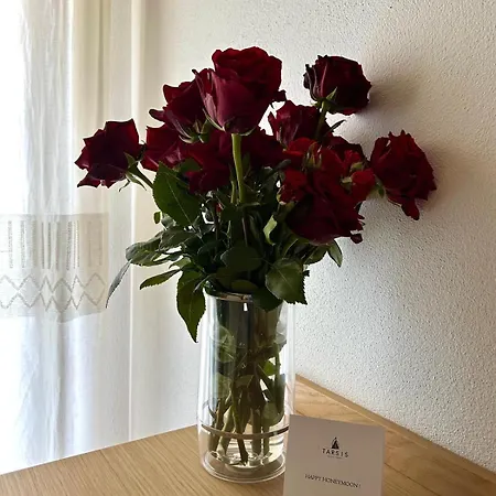 Tarsis Pensjonat 3*